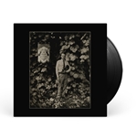 Tyler Childers - Long Violent History Vinyl Record (New, 140 Gram Vinyl)