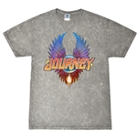 Colorful Journey Scarab Logo  T-Shirt - Grey Mineral Wash