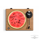 Watermelon Turntable Slip Mat