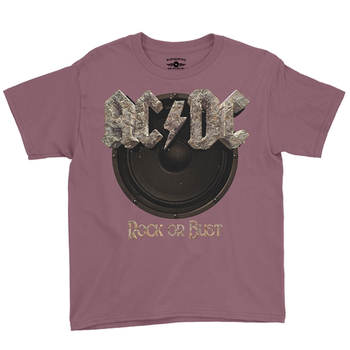 AC/DC Rock or Bust Youth T-Shirt - Lightweight Vintage Children - youthheathermaroon