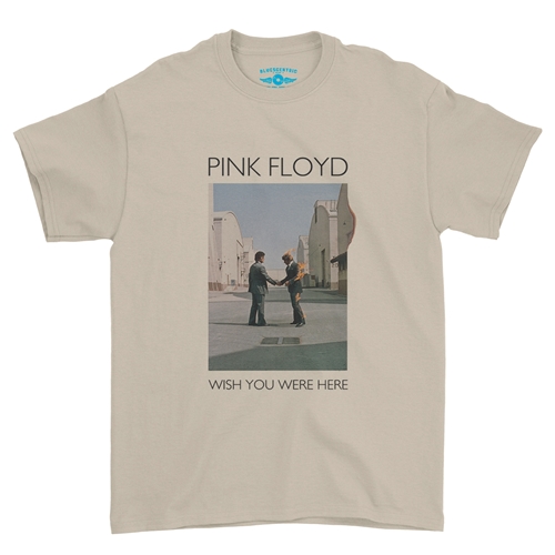 Pink Floyd Wish You Were Here T-Shirt - Classic Heavy Cotton