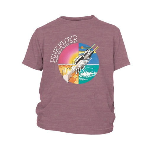Pink Floyd Mechanical Hands Youth T-Shirt - Lightweight Vintage Children & Toddlers - youthheathermaroon