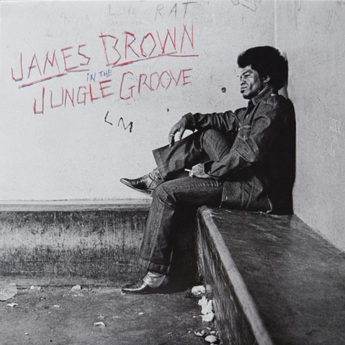 James Brown - In the Jungle Groove Vinyl Record (New, 2-LP)