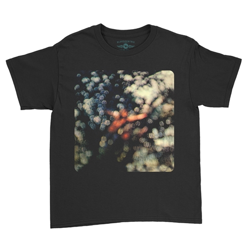Pink Floyd Obscured By Clouds Youth T-Shirt - Lightweight Vintage Children & Toddlers - youthblack