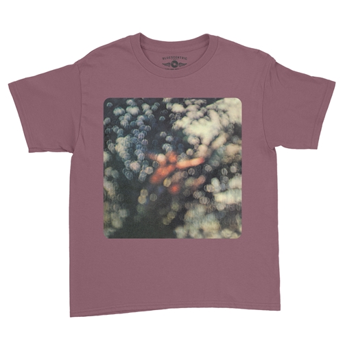 Pink Floyd Obscured By Clouds Youth T-Shirt - Lightweight Vintage Children & Toddlers - youthheathermaroon
