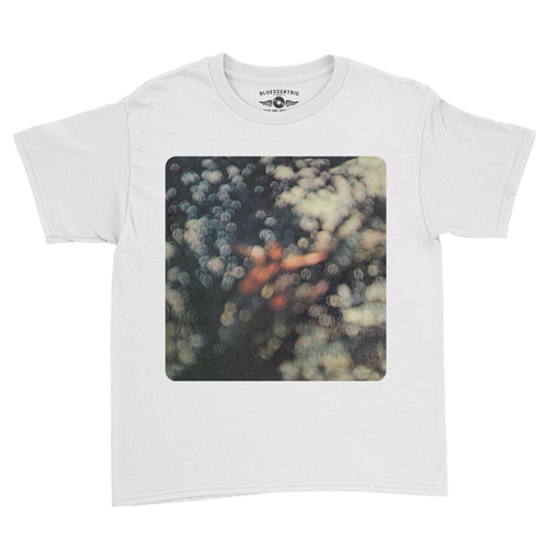 Pink Floyd Obscured By Clouds Youth T-Shirt - Lightweight Vintage Children & Toddlers - youthwhite
