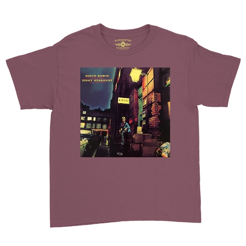 David Bowie Ziggy Stardust Album Cover Youth T-Shirt - Lightweight Vintage Children & Toddlers - youthheathermaroon