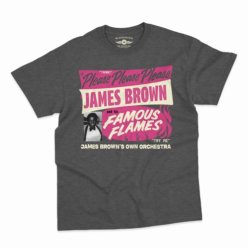 James Brown Famous Flames Tour T-Shirt - Classic Heavy Cotton - classicheathergrey