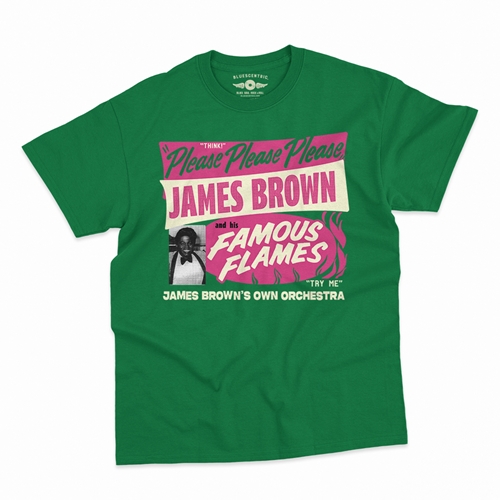 James Brown Famous Flames Tour T-Shirt - Classic Heavy Cotton - classickellygreen