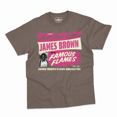 James Brown Famous Flames Tour T-Shirt - Classic Heavy Cotton - classictaupe