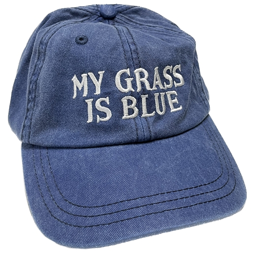My Grass Is Blue Unstructured Hat - Pigment Washed Blue